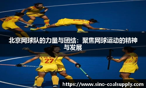北京网球队的力量与团结：聚焦网球运动的精神与发展