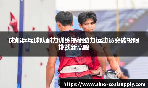 成都乒乓球队耐力训练揭秘助力运动员突破极限挑战新高峰