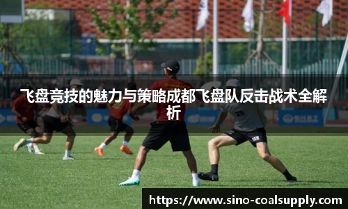 飞盘竞技的魅力与策略成都飞盘队反击战术全解析