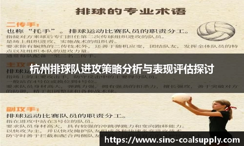 杭州排球队进攻策略分析与表现评估探讨